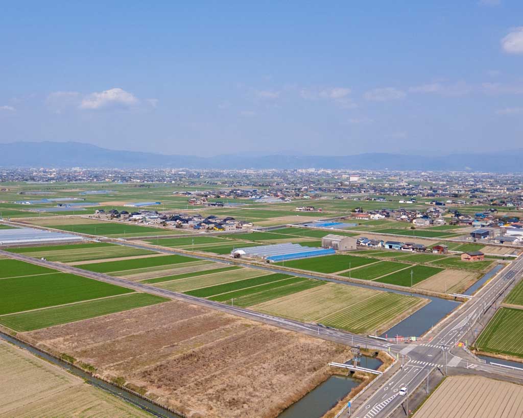ブログ2022.11土地の地目について8 コラム