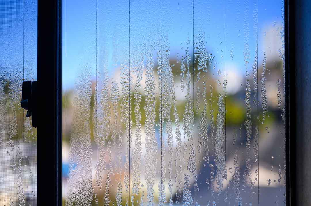 家族が集まるからこそ見える「住まいの課題」結露